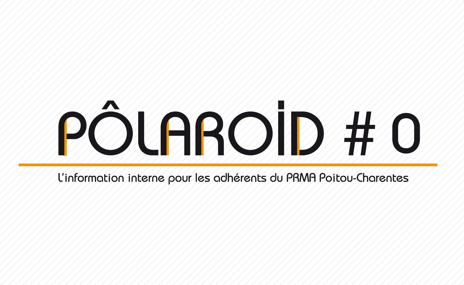 Slider 1 - Logo PÔLAROID